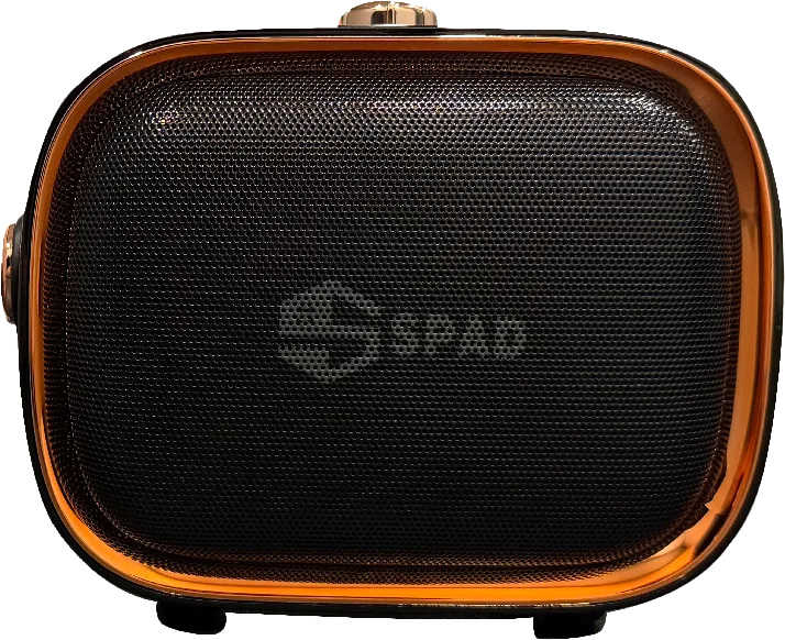 اسپیکر کارائوکه مدل SP-220